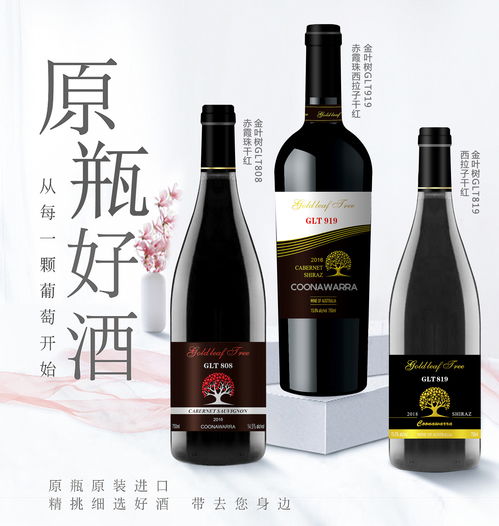 金葉樹葡萄酒公司2020年酒制品生產(chǎn)及市場推廣戰(zhàn)略